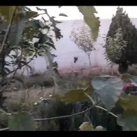 خانه-باغ-ویلایی-600متری-داری