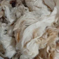 پشم‌گوسفند