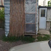 مغازه ۴۰ متری کوچصفهان|اجارهٔ مغازه و غرفه|آبیک, |دیوار