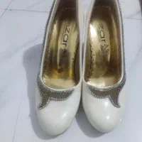 کفش مجلسی