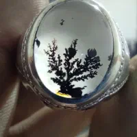 انگشتر شجر قائن