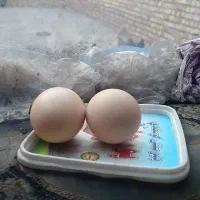 تخم مرغ محلی
