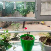منزل-ویلایی