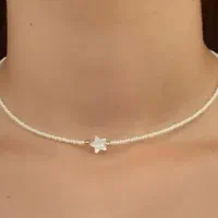 گردنبند و اکسسوری.