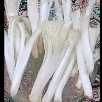 کنگر خوب و چغاله بادام ترچک و خوش مزه
