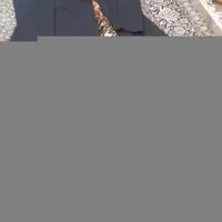 مانتو بلند|لباس|ابهر, |دیوار