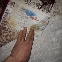 فرش|فرش|کرمانشاه, |دیوار