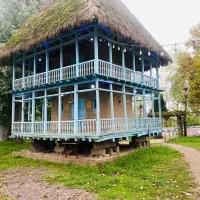 نیروی کار در کافه رستوران جینکو فوری