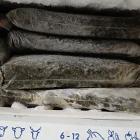 سبزی خورشتی