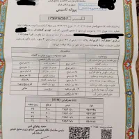 زمین گلخانه|فروش دفتر صنعتی، کشاورزی، تجاری|جعفرآباد, |دیوار