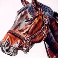 آموزش نقاشی مداد رنگی|خدمات آموزشی|قزوین, |دیوار