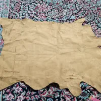 چرم طبیعی|کیف، کفش، کمربند|سبزوار, اسلام آباد|دیوار