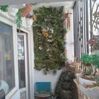 شاخه برگهای مصنوعی|گل مصنوعی|پردیس, فاز ۶|دیوار