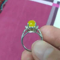 شرف شمس