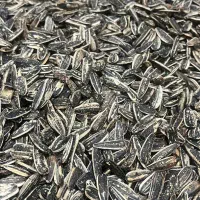 فروش ویژه سرلاشه و صدری هاشمی درجه یک وتخمه|خوردنی و آشامیدنی|الوند, |دیوار