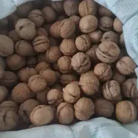 گردو کردستان پوست کاغذی|خوردنی و آشامیدنی|تهران, مجیدآباد|دیوار