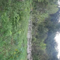 زمین ۴۰۰ متری دیوارکشی شده با پروانه|فروش زمین و ملک کلنگی|قدس, شهرک دانش|دیوار