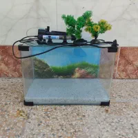 فروش اکواریوم