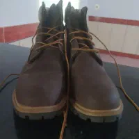 نیم بوت مردانه|کیف، کفش، کمربند|گنبد کاووس, |دیوار