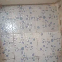 ریگ ولاستیک