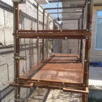 یک عدد قفس آهنی|لوازم جانبی حیوانات|شبستر, |دیوار