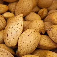 بادام تازه و شیرین و کاملا ارگانیک