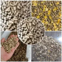 خوراک به قیمت کار خانه