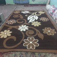 گلیم ۹ متر نو