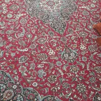 فرش ۱۲متری مشهد|فرش|مشهد, فرخد|دیوار