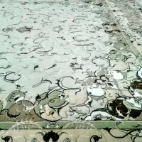 فرش 12 متری 700 شانه|فرش|مشهد, شهرک امام هادی (شهرک غرب)|دیوار