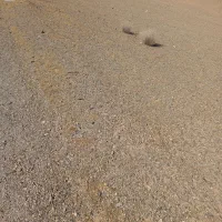 یک قطعه زمین به متراژ ۱۸۰متردراول قهاوند