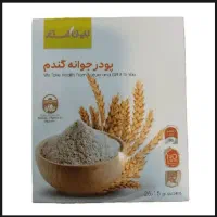 پودر جوانه گندم