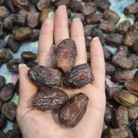 فروش خرما‌ بریمی