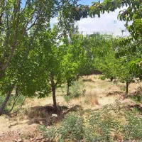 ۷۹۰مترباغ مشا مشاء دماوند آبعلی ابعلی