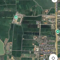 شالیزار  مرغوب کنار آبندان