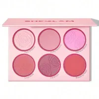 پالت رژگونه شیگلم اصل