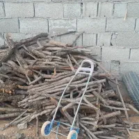 چوب بادام