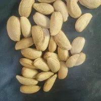 بادام تلخ خام