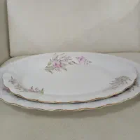 سرویس ۲۴ نفره