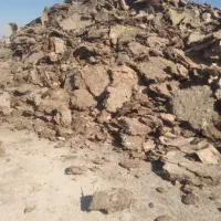 کود مرغ گوشتی|خدمات باغبانی و درختکاری|شیراز, گل سرخ|دیوار