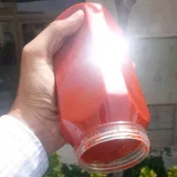 رب خانگی