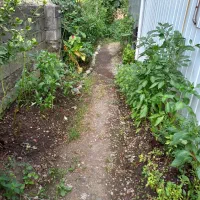 اجاره روزانه/هفتگی/ماهانه آپارتمان ۶۵ متری|اجارهٔ کوتاه‌مدت آپارتمان و سوئیت|پره‌سر, |دیوار