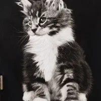 نقاشی چهره|تابلو، نقاشی، عکس|کرمانشاه, |دیوار