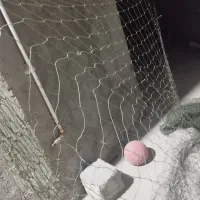 تور ماهیگیری شیر متری 190هزار تومان