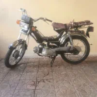 آمیکو پیشرو
