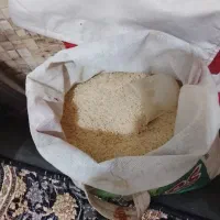 برنج طارم هاشمی مازندران