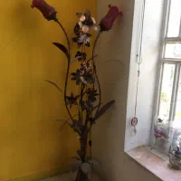 اباژور کنار سالنی ارتفاع ۱/۵ سالم با حباب گل لاله