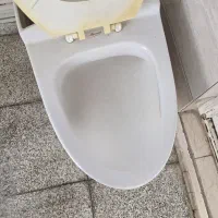 دستشویی و توالت فرنگی