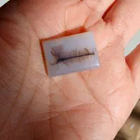 سنگ کلکسیونی نگین شجر