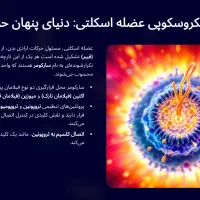 طراحی حرفه ای پاورپوینت|خدمات آموزشی|قم, پردیسان|دیوار